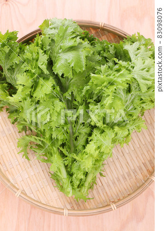 Wasabi Wasabi 83098076