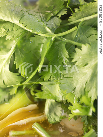 香菜火鍋形象香菜 83098852