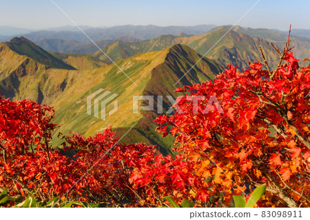 Autumn Tanigawa mountain range and autumn leaves Autumn Tanigawa mountain range and autumn leaves 83098911