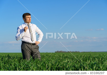 businessman poses in a field, he looks into the distance, green grass and blue sky as background 83100207