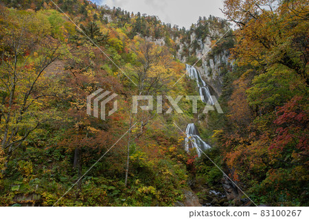 【北海道東川町天神橋】秋色美麗的羽衣瀑布10月 【北海道東川町天神橋】秋色美麗的羽衣瀑布10月 83100267