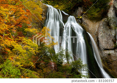 [Tenjinkyo, Higashikawa-cho, Hokkaido] Beautiful scenery of autumn leaves and Hagoromo Falls in October 83100357