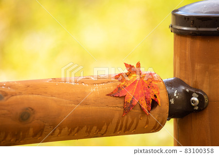 [Tenjinkyo, Higashikawa-cho, Hokkaido] Autumn leaves maple in October 83100358