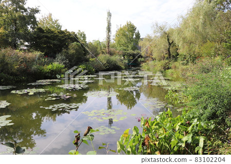 Monet's Garden Water Lilies Kochi Prefecture Kitagawa Village Shikoku 83102204