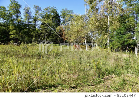 栗澤市立上見龍鬥中小學（舊址） 83102447