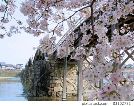 Kintaikyo Bridge in the cherry blossom season (Iwakuni City, Yamaguchi Prefecture) Kintaikyo Bridge in the cherry blossom season (Iwakuni City, Yamaguchi Prefecture) 83102781