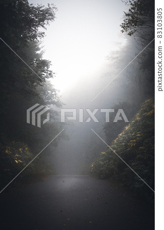 喜怒無常的森林 83103805