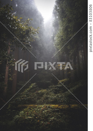 喜怒無常的森林 83103806