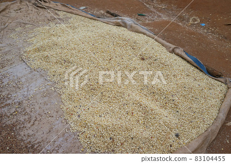 Turmimarket corn Turmimarket corn 83104455