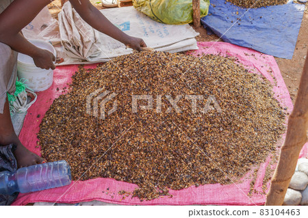 圖爾米市場 83104463