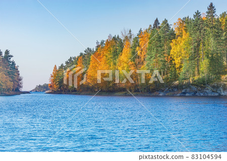 Trees on the cliffs of Lake Ladoga at autumn evening. Republic of Karelia. 83104594