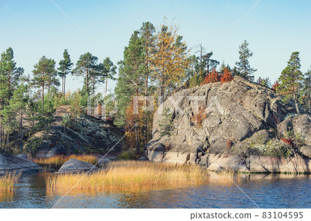 Pine trees on the cliffs of Lake Ladoga at autumn evening. Republic of Karelia. 83104595