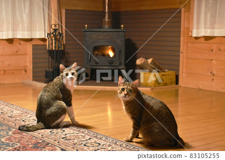 Nojiri Kogen University village villa Log house kittens of Kijitora and Sabatra 83105255