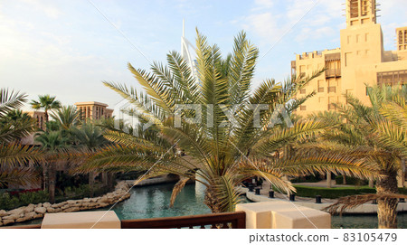 Beautiful view on street in Dubai, United Arab Emirates. Palm tree. Beautiful view on street in Dubai, United Arab Emirates. Palm tree. 83105479
