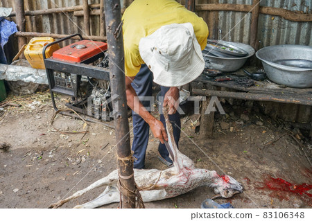 Ethiopian goat handler Ethiopian goat handler 83106348