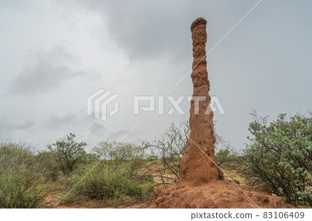 Ethiopian anthill Ethiopian anthill 83106409