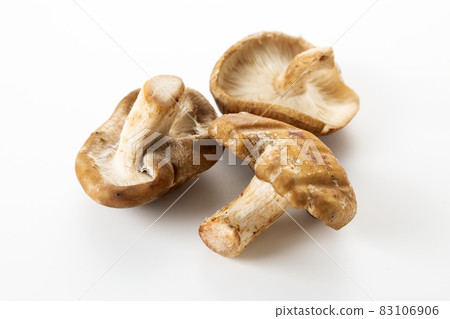 香菇 香菇 83106906