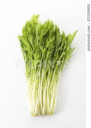 水菜 水菜 83106908