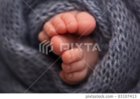 legs and toes of a newborn in a soft gray legs and toes of a newborn in a soft gray 83107413
