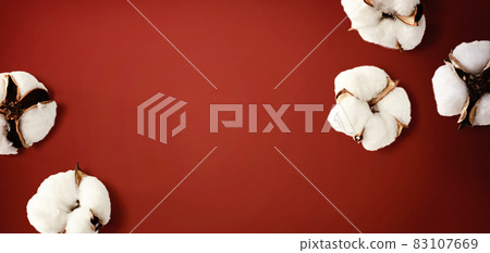 White cotton flowers White cotton flowers 83107669