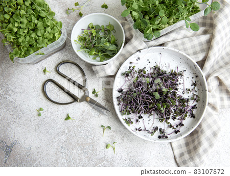Assortment of micro greens on wooden table 83107872