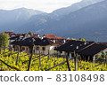 Trentino landscape with fresh spring vineyards and rural houses with Alps on background. 83108498