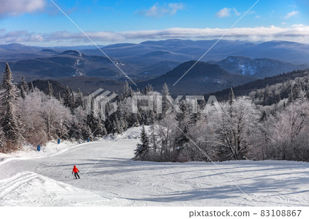 Ski slope mountain scenery lansdcape with lonelys skier skiing downhill on first tracks fresh snow alone with frozen treeline. Winter sport resort, people skiing at Mont-Tremblant, Quebec, Canada 83108867