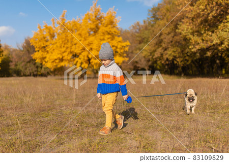 A child walks with a pug in the autumn park. Friends since childhood A child walks with a pug in the autumn park. Friends since childhood 83109829