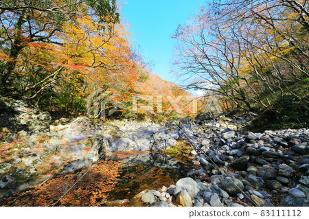 Dosuncheon Valley, Valley, Hallasan, Seogwipo, Mountain, Maple, Fallen Leaves, Maple Tree, Lava 83111112