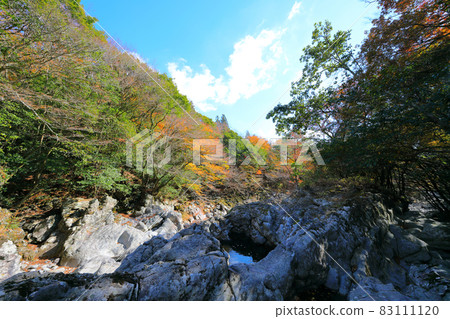 Dosuncheon Valley, Valley, Hallasan, Seogwipo, Mountain, Maple, Fallen Leaves, Maple Tree, Lava Dosuncheon Valley, Valley, Hallasan, Seogwipo, Mountain, Maple, Fallen Leaves, Maple Tree, Lava 83111120