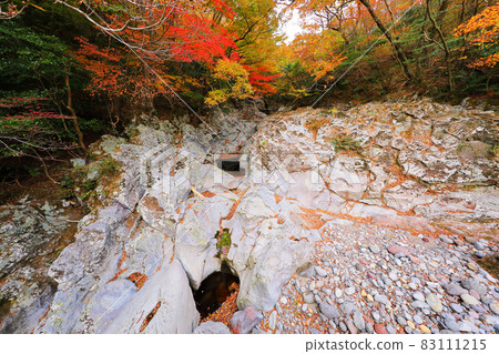 Dosuncheon Valley, Valley, Maple Leaves, Autumn, Lava, Forest, Forest, 83111215