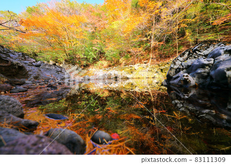 Dosuncheon Valley, Maple Leaves, Autumn, Maple Tree, Forest, Forest, Mountain, Volcano, Valley Mall, 83111309