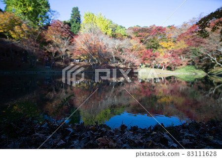 Bungoono City (Asajimachi) Yujaku Park 83111628