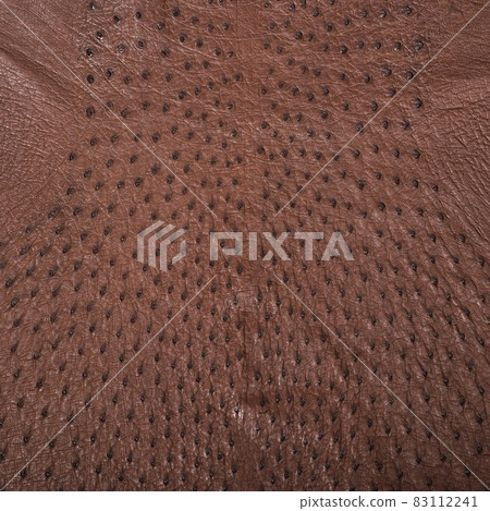 Background from a ostrich genuine leather brown Background from a ostrich genuine leather brown 83112241