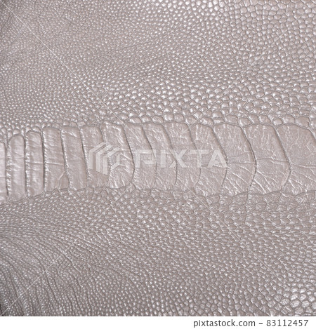 Ostrich leg leather grey isolated on a white background Ostrich leg leather grey isolated on a white background 83112457