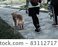 一隻狗的散步 83112717
