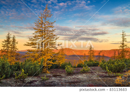 Autumn landscape with larches, mountains and the moon at the time of dawn. Chukotka, Russia. 83113683