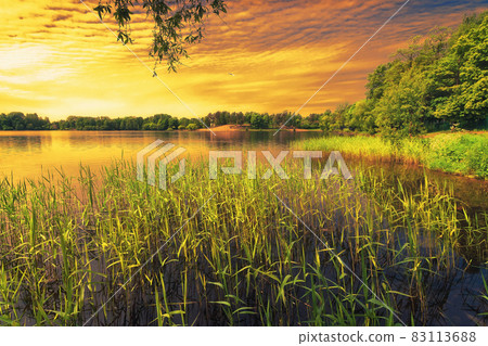 Suzdal Lake. Ozerki, Saint Petersburg, Russia. 83113688