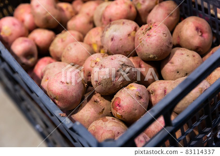 Potatoes in plastic box Potatoes in plastic box 83114337