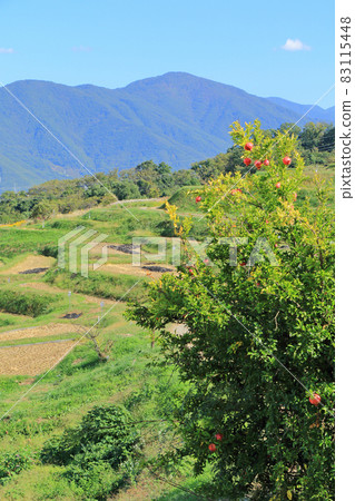 Obasute Tanada Autumn View Obasute Tanada Autumn View 83115448