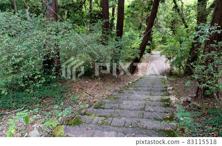 Scenery going down the approach to the sacred autumn mountain road 83115518