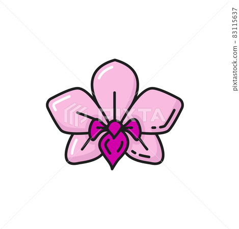 Pink orchid flower national plant of Thailand isolated color line icon. Vector Thai national flower, botanical decoration exotic plant blossom. Blooming jasmine floral design element, cassia fistula 83115637