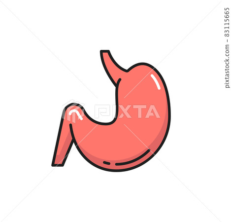Stomach digestive tract and enzyme system internal organ isolated color line icon. Vector gastroenterologist clinic emblem, probiotic, lactobacillus bacteria in abdomen digestion internal human organ 83115665