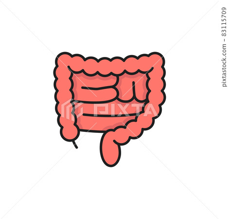 Human large intestines isolated color line icon. Vector anatomy, healthcare, medicine concept, active beneficial bacteria, healthy colon. Digestive tract system internal organ, transverse rectum Human large intestines isolated color line icon. Vector anatomy, healthcare, medicine concept, active beneficial bacteria, healthy colon. Digestive tract system internal organ, transverse rectum 83115709