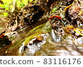 Nature  83116176
