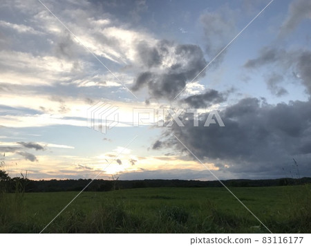 evening evening 83116177