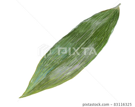 1 balun_real touch_horizontal 83116325