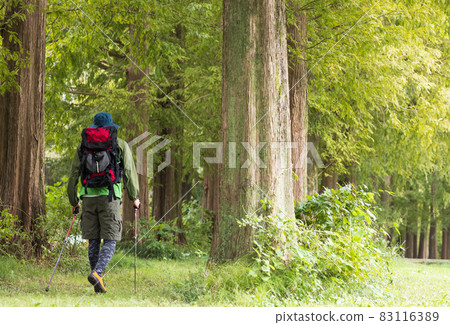 Young man enjoying a hike 83116389