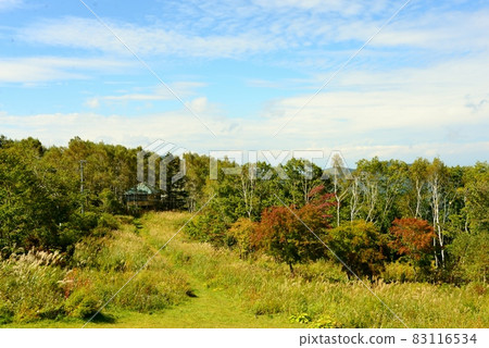 The beginning of autumn leaves Minenohara Kogen 83116534