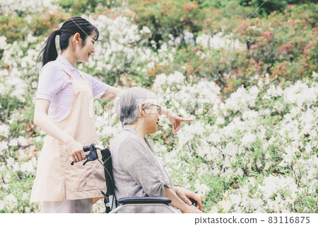 Elderly women and female staff taking a walk in the flower field 83116875
